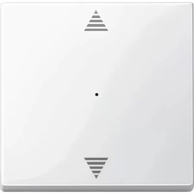 Produktbild von MERTEN 619419 - Weiß