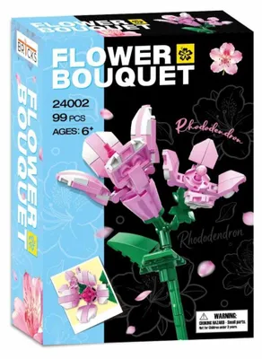 Obrázek produktu pro Rhododendron BR1CKS