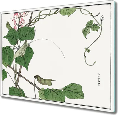 Produktbild von Coloray Schneidebrett Herdabdeckplatte 60x52 cm Kochplattenabdeckung Hackbrett Küchenbrett - Blätter Blumen Insekten