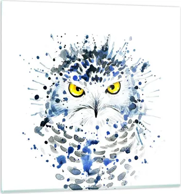 Produktbild von Bilder auf glas - Mode Design Eule Aquarell - 70x70cm - Glasbilder - Wandbilder - Kunstdruck - zum Aufhängen bereit - Wanddekoration aus Glas - Glas Bilder - Wandbild auf Glas - GAC70x70-2838