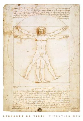 Immagine prodotto di LEONARDO DA VINCI - L'UOMO VITRUVIANO - 40x51 cm - Poster