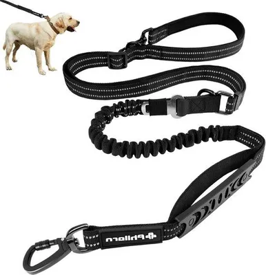 Produktbild von Famanu Hundeleine 5-in-1 Multifunktional - Verstellbar mit Bungee und Reflexmaterial - Schwarz