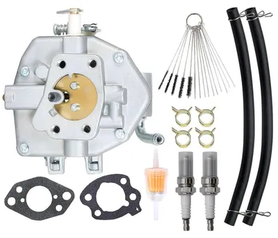 Image de Carburateur de remplacement pour moteurs Briggs Stratton