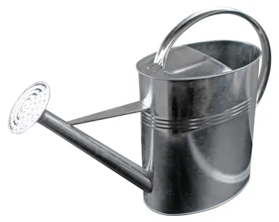 Produktbild von Gießkanne aus verzinktem Metall 10 Liter mit Brauseaufsatz
