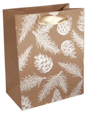 Produktbild von Sigel Geschenktasche Small 180x230x100mm GT131