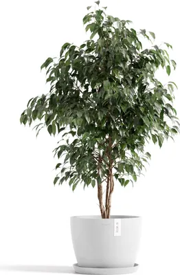 Produktbild von Blumentopf Stockholm Größe 31 Weißgrau aus recyceltem Kunststoff, robust, bruchsicher, frostbeständig, mit Bewässerungssystem