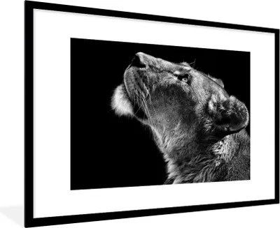 Produktbild von MuchoWow® Gerahmtes Poster Löwe - Tiere - Schwarz und weiß 90x60 cm - Poster mit Schwarzem Bilderrahmen Wandposter Rahmen Foto Bilder - Wanddekoration - Fotos