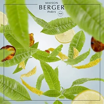 Zdjęcie produktu dla Maison Berger Room Fragrance Refill Zeste de Verveine / Orzeźwiająca werbena cytrynowa 1 L