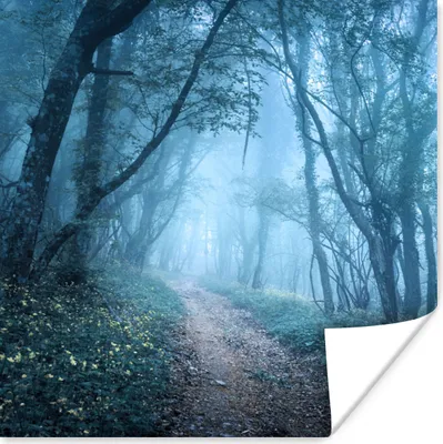 Produktbild von MuchoWow® Poster Bäume - Natur - Nebel 75x75 cm - Wand Dekoration