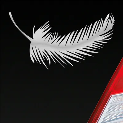 Produktbild von Auto Aufkleber Feder Federn Tuning Deko Vintage 10x5,5 cm Silber Sticker Heckscheibenaufkleber