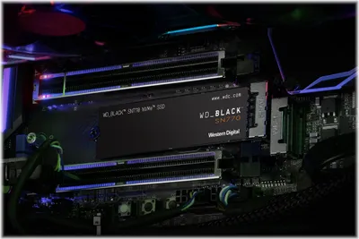 Image de SSD WD Black  M.2 2280       2TB NVMe    SN770 intern
