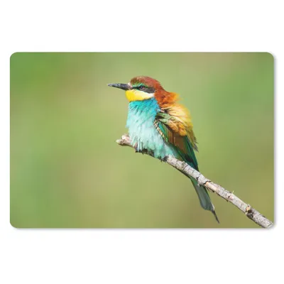Produktbild von MuchoWow® Schreibtischunterlage Vogel - Tiere - Bienenfresser 60x40 cm - XXL Mauspad - Großes Mauspad