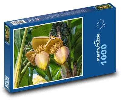 Obrázek produktu pro Puzzle 1000 Kvetoucí Banánovník na Slunci - martinpuzzle