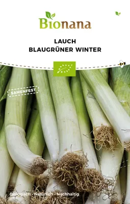 Produktbild von Porree Blaugrüner Winter Gemüsesamen