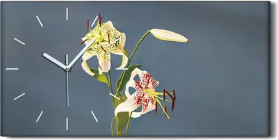 Produktbild von Wandbild Leinwand Bilder Wanduhr Geräuschlos 60x30 Gemälde Blumen Pflanzen Kunst - weiße Hände