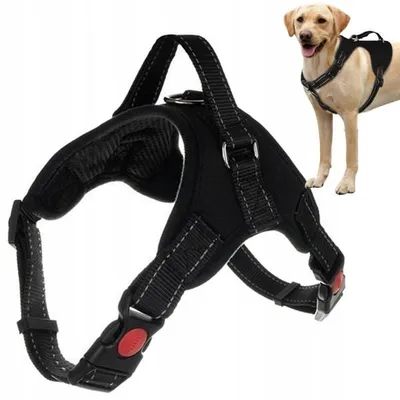 Produktbild von Hundegeschirr - druckfrei, robust, leicht, mit Griff M