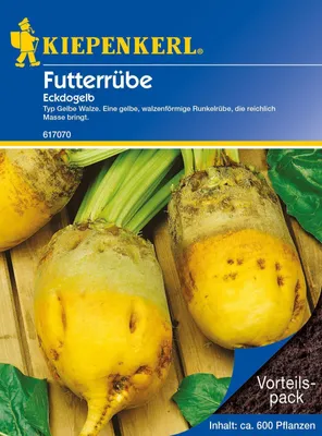 Produktbild von Kiepenkerl Futterrübe Eckdogelb 35 g