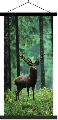 Produktbild von MuchoWow® Textilposter Hirsche - Wald - Bäume - Tiere - Natur 60x120 cm mit schwarzem Rahmen - Magnete