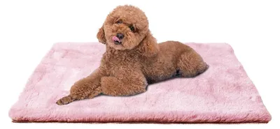 Produktbild von Flauschiges Hundebett für kleine Hunde, waschbar und rutschfest