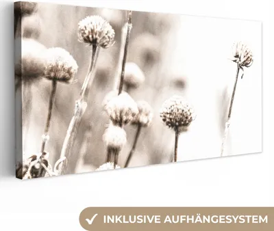 Produktbild von MuchoWow® - Leinwandbilder - Blumen - Pflanzen - Stillleben - Natur, Wandbild, Wanddeko Bilder Wohnzimmer, 40x20 cm