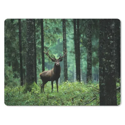 Produktbild von MuchoWow® Mauspad Mousepad Hirsche - Wald - Bäume - Tiere - Natur 23x19 cm - Mousepads - Maus Mat - Pad - Mausunterlage - Schreibtischunterlage - Mauspad