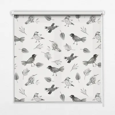 Produktbild von Seitenzug-Rollo Fensterrollo Jalousie - Lichtdurchlässig Springrollos - 80x240 cm - Gezeichnete Vögel und Blätter