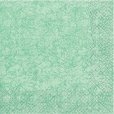 Produktbild von 20 kleine Cocktailservietten Modern Colours eucalyptus 25x25cm