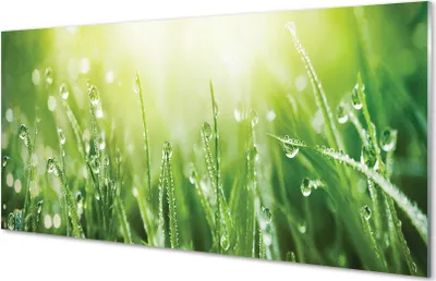 Produktbild von Glasbilder 120x60 Wandkunst Grass Sonne Tropfen