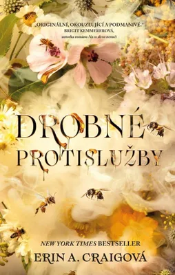 Image de Drobné protislužby (Craigová Erin A.)