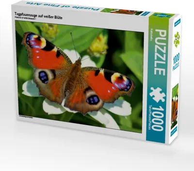 Produktbild von Calvendo Tagpfauenauge auf weißer Blüte 1000 Teile Puzzle quer 640x480mm, CALVENDO; 7312202