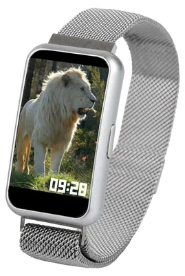 Produktbild von Atlanta Smartwatch 9731/19, Fitnesstracker, Silber, Meshband, wasserdicht