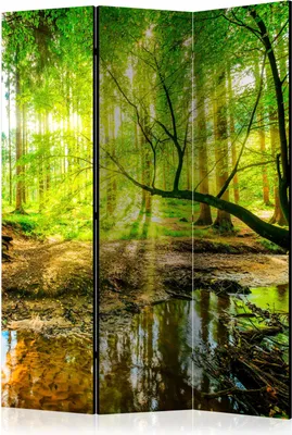 Immagine prodotto di Schermo monofacciale Paesaggi 135x172 cm Verde in 3 parti