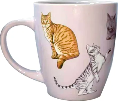 Produktbild von Coppenrath Verlag GmbH & Co.KG Porzellan-Tasse Katzen - I love cats & dogs Sonstige