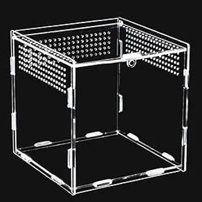 Zdjęcie produktu dla Terrarium Akrylowe 15x15x15 cm dla Ptaszników Owadów Przezroczyste Zestaw