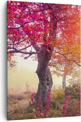 Produktbild von Bild auf Leinwand - Leinwandbild - Einteilig - Baum Natur Wiese - 70x100cm - Wand Bild - Wanddeko - Wandbilder - Leinwanddruck - Wanddekoration - Leinwand bilder - Wandbild - PA70x100-3658