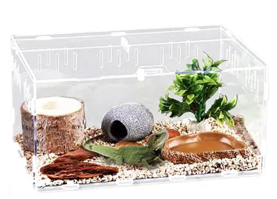 Image de Boîte de nourrissage transparente pour reptiles, dimensions : 30 x 20 x 15 cm