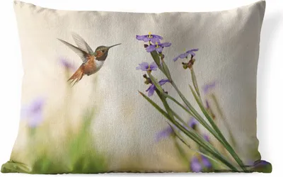 Produktbild von MuchoWow® Outdoor Kissen - Vogel - Kolibri - Blumen - Lila - 50x30 cm - Wetterfest - Lounge Kissen - Sofa kissen - Wohnzimmer Dekoration