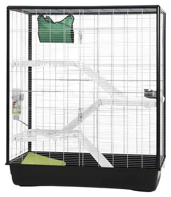 Image de Savic Cage à rats Zeno 3 Knock Down Empire Anthracite