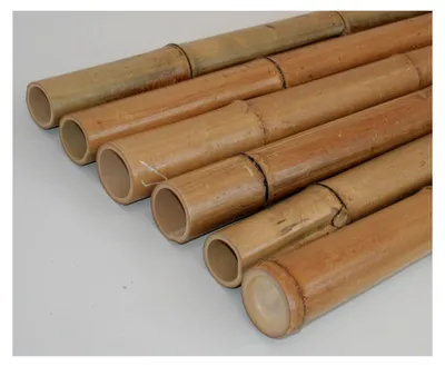 Produktbild von Bambusstange 180 cm mit 6-7 cm Durchmesser, hitzebehandelt - Dickes Madake Bambusrohr naturbelassen, 1,8 m lang