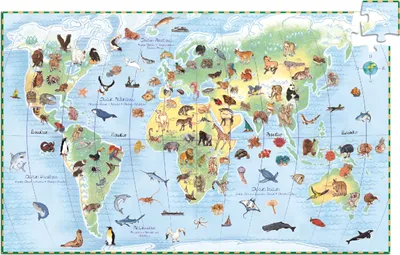 Immagine prodotto di Puzzle osservazione Animali del mondo, Djeco
