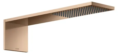 Productafbeelding van AXOR 12592300: Kopdouchemodule, 110/220