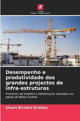 Produktbild von Leistung und Produktivität von großen Infrastrukturprojekten