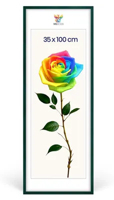 Produktbild von MG Design Bilderrahmen Grün 35x100 cm - Posterrahmen Echtholz mit Acrylglas, verstärkte Wandaufhängung, hoch/quer