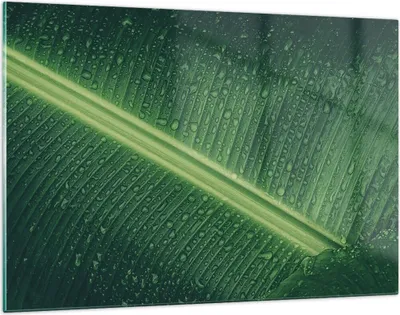 Produktbild von Bilder auf glas - Einteilig - Makro Blatt Tropfen - 120x80cm - Glasbilder - Wandbilder - Bilder - zum Aufhängen bereit - Wanddekoration aus Glas - Glas Bilder - Wandbild auf Glas - GAA120x80-4372