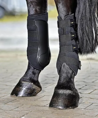 Produktbild von BUSSE Gamaschen Dressage- Pro Beinschutz Schwarz L