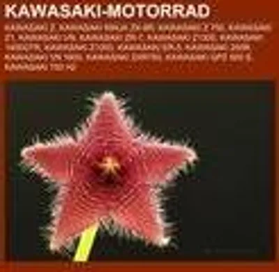 Produktbild von Kawasaki-Motorrad