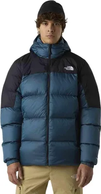 Image de Manteau The North Face NF0A8992EIO1 pour Homme