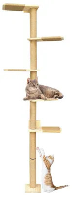 Produktbild von Kratzbaum 5 Ebenen (205 cm) - Katzenbaum - Klettergerüst - Wandregale - Verstellbar