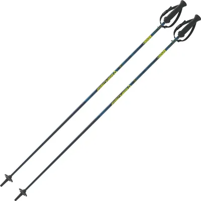 Produktbild von Fischer RC4 NOIZE Skistöcke Ski Poles Ski Alpin Stöcke 1 Paar blau 120