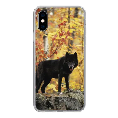 Produktbild von MuchoWow® Handyhülle Schutzhülle Hülle für iPhone X Wolf - Fels - Baum Silikon Softcase Handy Hülle - Handyhülle
